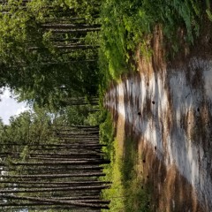 13 Miles til empty 2-1.m4a