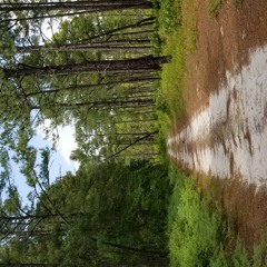 13 Miles Til Empty (Brett Ribblett and Mike Knapp)