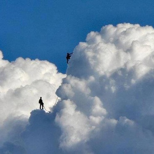 TECHNO MINIMAL LIVES