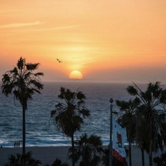Los Angeles Electric Sunsets Vol.3