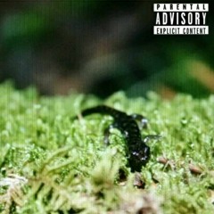 F1RELOV3 ~ XAYE x CONEFLOWE(prod. 1XAY3)