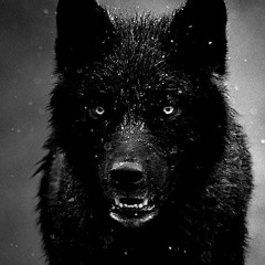 Wolves (Instrumental Beat)