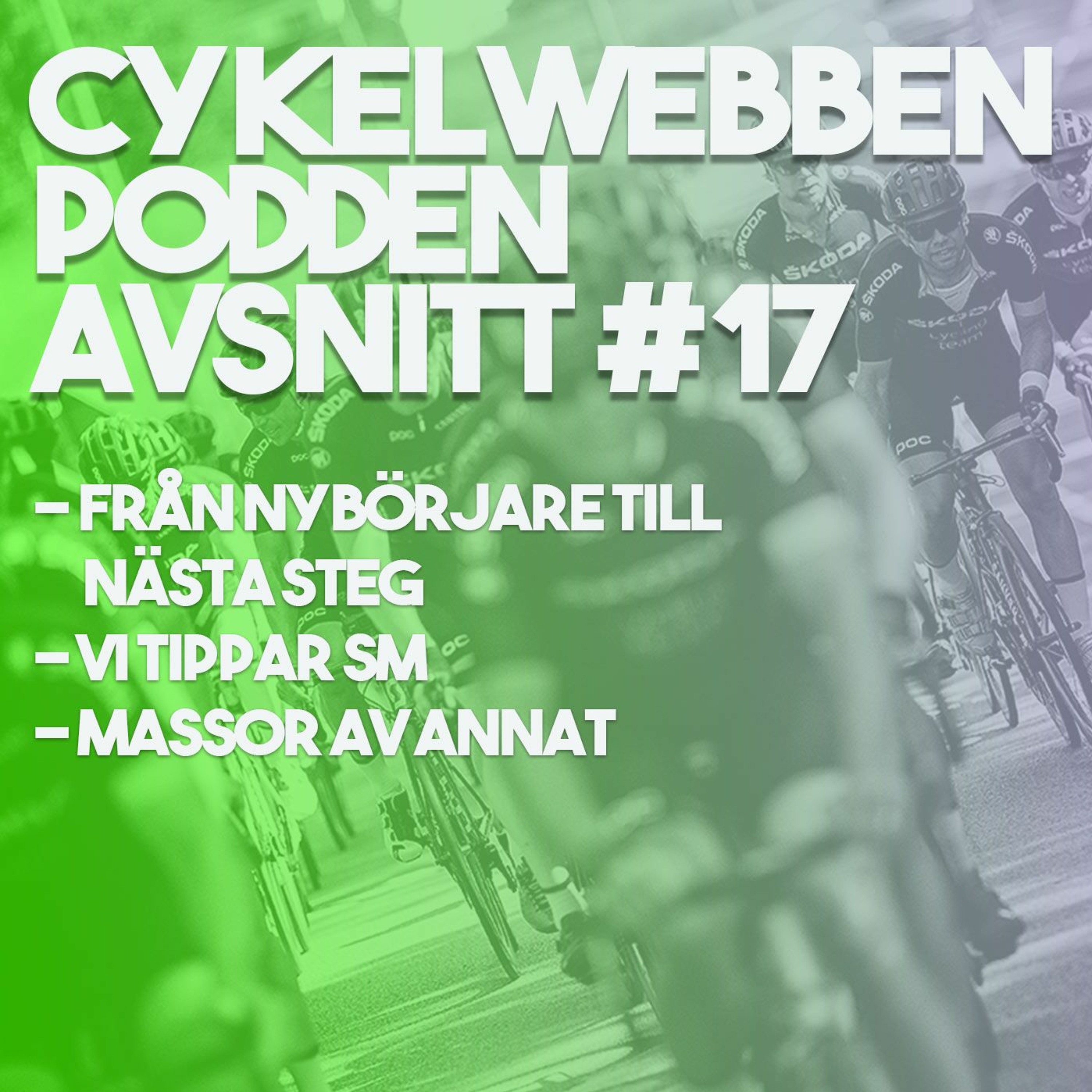 CykelwebbenPodden