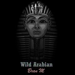 Bran M - Wild Arabian (Original Mix) #OldStuff