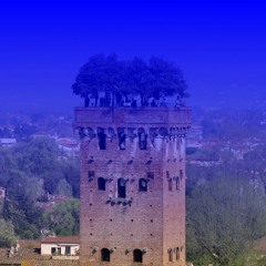 Music for Guinigi Tower