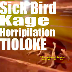 384 FRIENDS ft Sick Bird, Kage, Horripilation, TIOLOKE