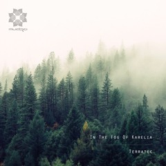 Terratec - In The Fog Of Karelia
