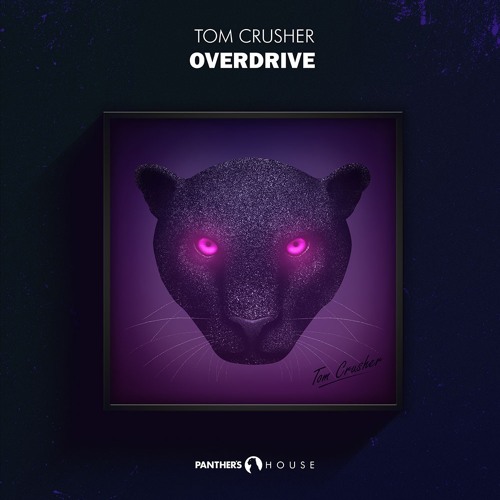 Tom Crusher - Overdrive