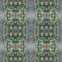 ｆｏｇ＿ｄｏｏｒ