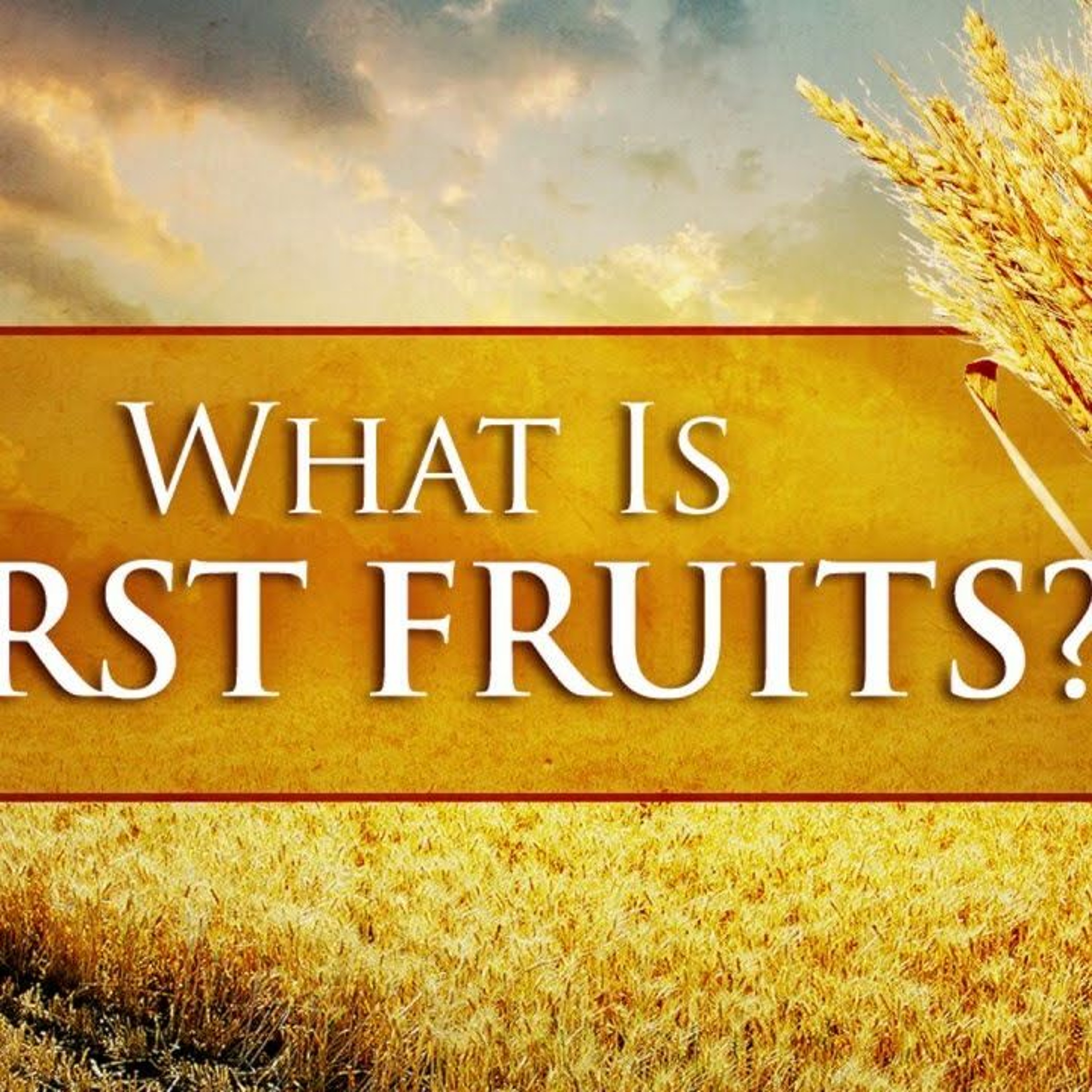 The Firstfruits episode artwork