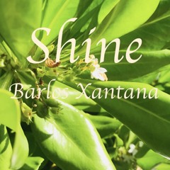 Shine (Prod. by Dee B x Nonbruh)