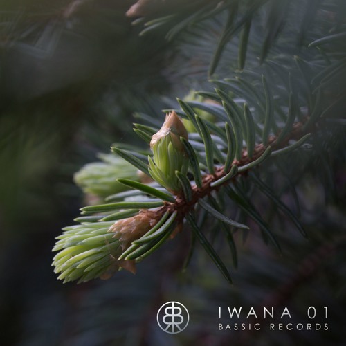 MNGRM - Ghost Shell (Original Mix) • IWANA 01 • PREVIEW
