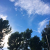 Sola Mp3