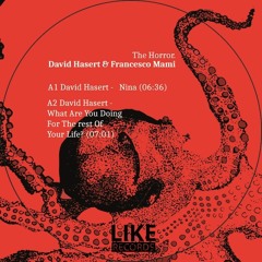 David Hasert & Francesco Mami - Nina / The Horror (LIKE 034 Vinyl)