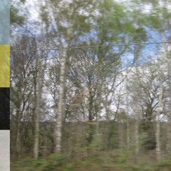 The Declining Winter 'My Divided World'