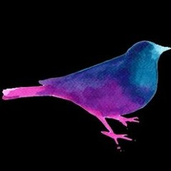 Bitch Im A Bird ft - Niff D - ES - Ninni - Lil Kian