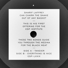 SHARIF LAFFREY  'Everything Is Nice'  on ESP Institute ESP079