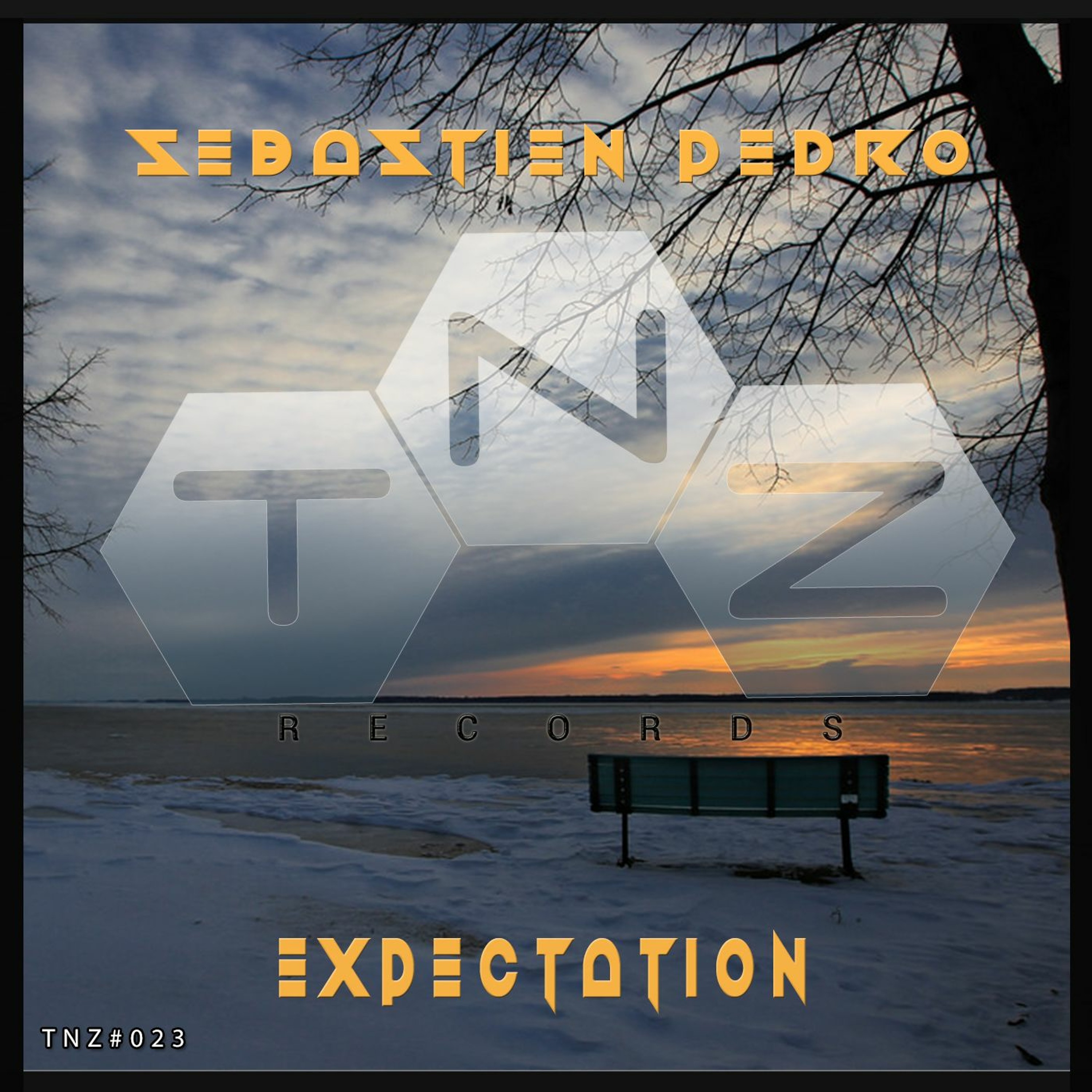 EXPECTATION (Original Mix) Sebastien Pedro episode artwork