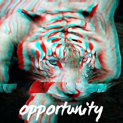 opportunity