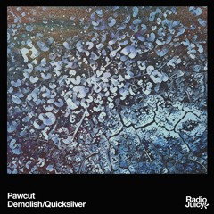 Pawcut - Demolish / Quicksilver