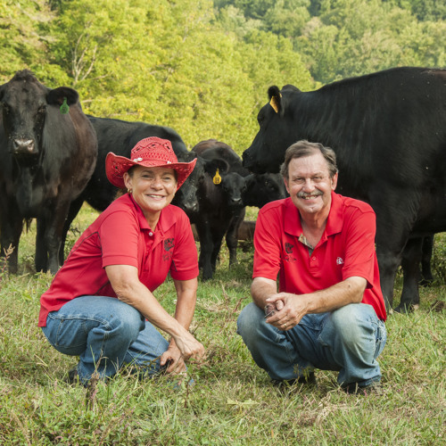 Stream episode Meet the Bradley Family on Farm Tour by asapconnections