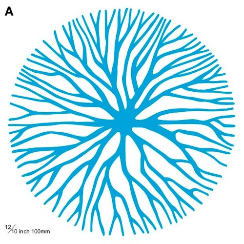 Fungi Vs Waanzin - Cortizone /// Y1
