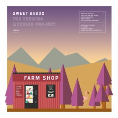 Sweet Baboo - Lost Out On The Floor