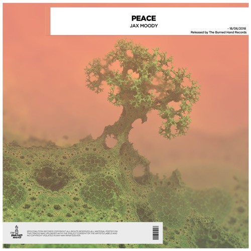 Jax Moody - Peace (Radio Edit) (OUT ON SPOTIFY)