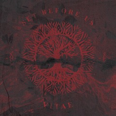 Set Before Us - Ignite