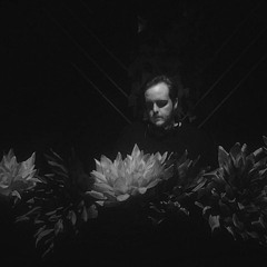 kNS @ What We Do In The Shadows // 06:00 to LATE (16/06/18)