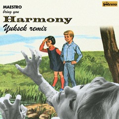 PREMIERE: Maestro - Harmony (Yuksek Remix) [Tigersushi Records]