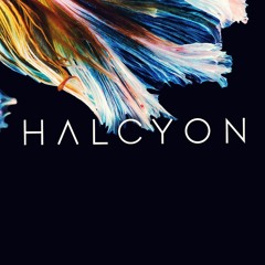 048 Halcyon SF Live - Chus & Ceballos
