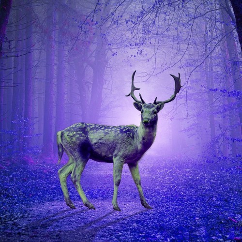 Kas:st - Endless Exodus [INFORMA012]