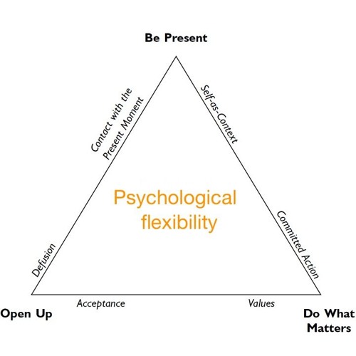 Leadership and the Triflex