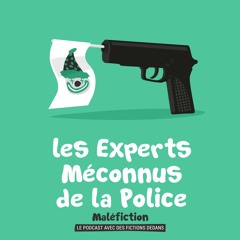 S1E04 Les Experts Méconnus de la Police