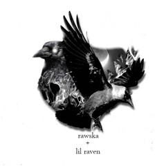 Like It's Nothing ft. Lil Raven (prod. Banbwoi)