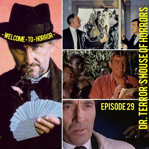 029 Dr Terror's House Of Horrors