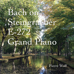 Bach on Steingraeber E-272 Grand Piano (recording test 2)