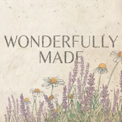 03 Wonderfully Made - Besides Daniel
