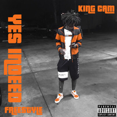 YES INDEED (FREESTYLE)