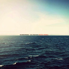 NumberNin6 - Saltwater (Keekz DNB Flip)[FREE DOWNLOAD]