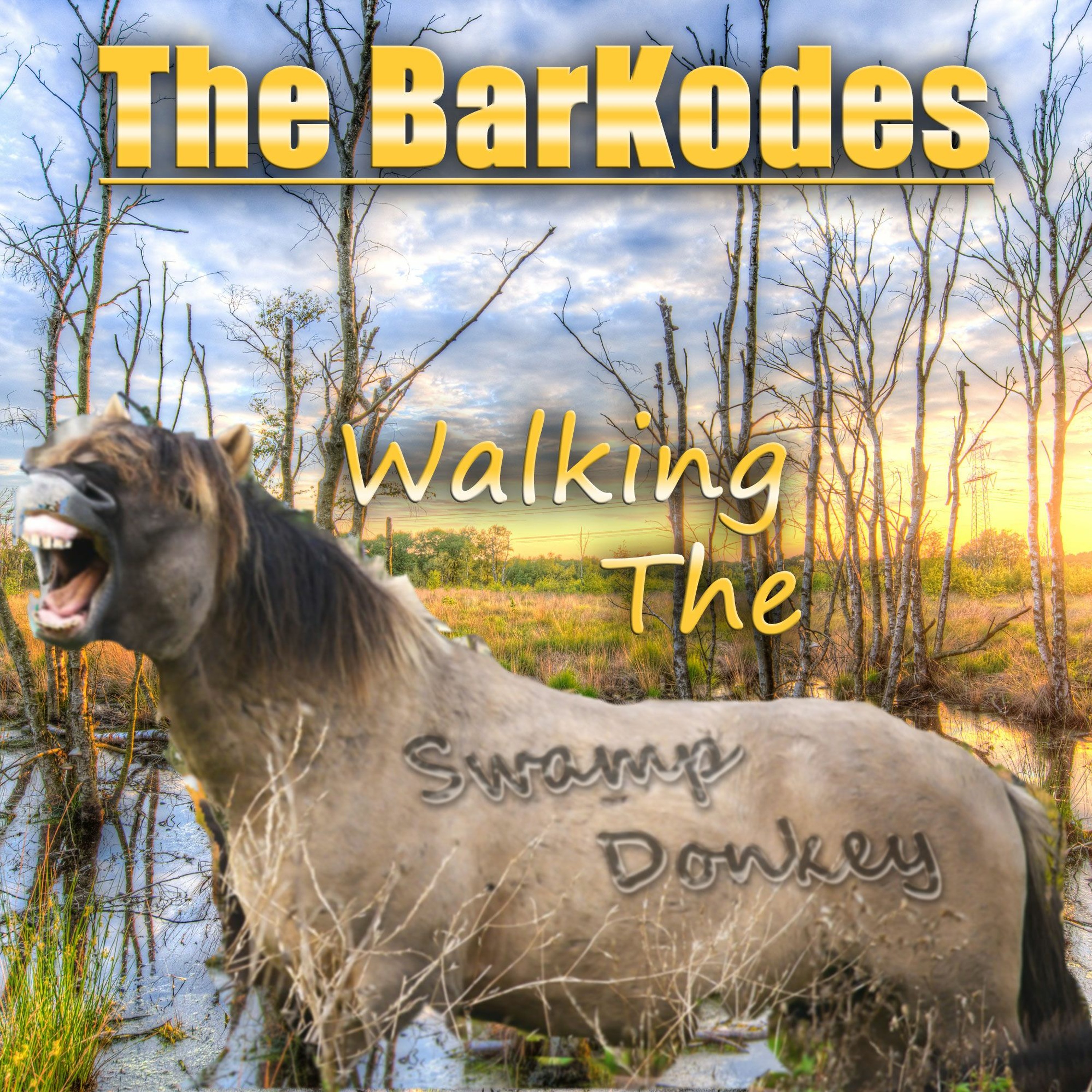 The BarKodes Radio