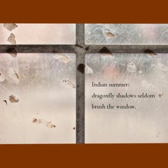After the frost [Naviarhaiku232]