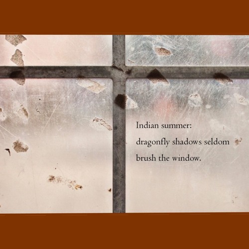 After the frost [Naviarhaiku232]