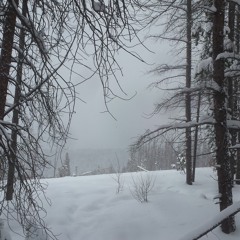 Winter's Snow