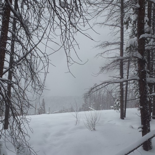 Winter's Snow