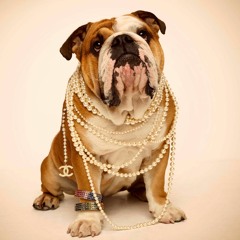 Big Dawg Ft. Monty $olo X King Bunn X Herm C