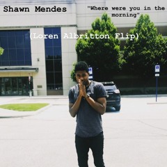 Shawn Mendes - Where were you In the morning (Loren Albritton Flip)