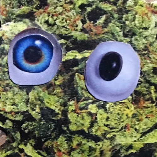 plants.