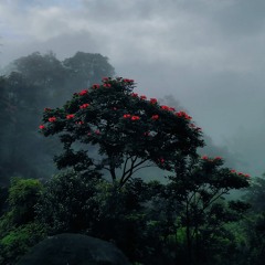 Noriyuki Asakura - Cure the Princess (Tenchu OST)